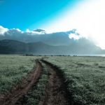 tt娱乐城平台:探索多样化的在线娱乐体验与游戏选择 23mbl4