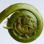 QQ188娱乐:带你领略最热门的线上娱乐项目与赛事 8us95x