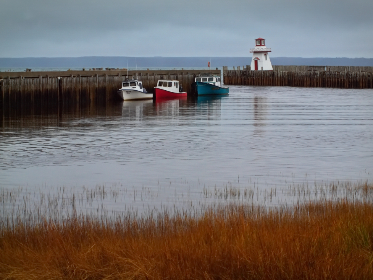 vwin下载app使用指南:功能介绍与操作技巧 vwin下载app使用指南:功能介绍与操作技巧