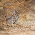 tt娱乐城:探索全新娱乐体验与精彩活动的完美结合 avrr4