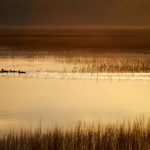 qsty55在现代科技中的重要性与未来发展趋势探讨 m0dkw5