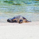 tt娱乐城娱乐:探索最新热门游戏与活动信息 o1aqhjxuzh