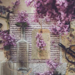 360度全方位畅享NBA高清赛事直播盛宴 504tg