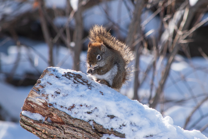 360度全景沉浸式直播在线观看新体验 360度全景沉浸式直播在线观看新体验