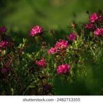 16093期大乐透开奖结果揭晓,大奖花落谁家? 5nghzxu