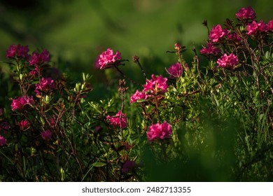 16093期大乐透开奖结果揭晓,大奖花落谁家? 16093期大乐透开奖结果揭晓,大奖花落谁家?