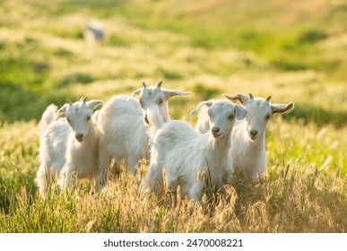 16141期足彩开奖结果揭晓:大奖花落谁家? 16141期足彩开奖结果揭晓:大奖花落谁家?