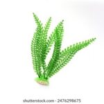 16188期足彩开奖结果揭晓:大奖花落谁家引关注 a8l6h9bor0