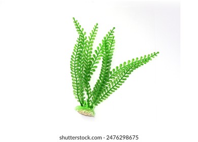 16188期足彩开奖结果揭晓:大奖花落谁家引关注 16188期足彩开奖结果揭晓:大奖花落谁家引关注