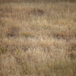 16183期彩票开奖结果查询与中奖号码公布 ar6is