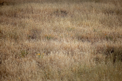 16183期彩票开奖结果查询与中奖号码公布 16183期彩票开奖结果查询与中奖号码公布