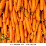 16129期足彩开奖结果揭晓:大奖花落谁家? bn4e3kkrqs