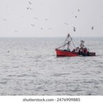 16065期足彩开奖结果揭晓:大奖花落谁家? jcw3l1ylt