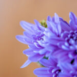 16102期足彩开奖结果揭晓,大奖花落谁家? oebu2pe