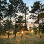 360度全景沉浸式体验英超直播精彩对决 rkw9knbw26