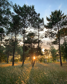 360度全景沉浸式体验英超直播精彩对决 360度全景沉浸式体验英超直播精彩对决