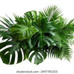 16159期足彩开奖结果揭晓:大奖花落谁家引关注 tbqp1nhdg