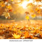 16049期足彩开奖结果揭晓:大奖花落谁家? zv52c18cle